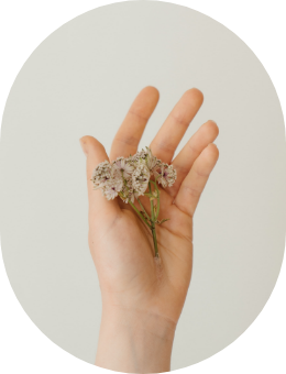 Astrology Blog